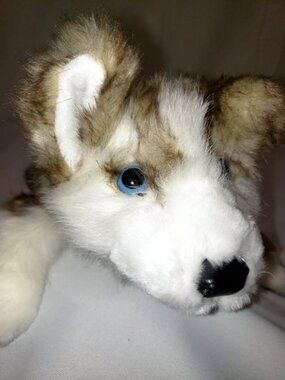 Folkmanis Wolf Pup full-body hand puppet 14” realistic New with Tag Watch video!